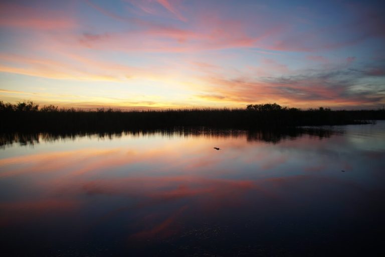 Arthur Marshall NWR