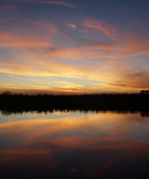 Arthur Marshall NWR